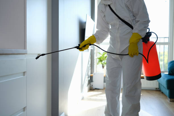 Best Commercial Mold Removal  in Blauvelt, NY