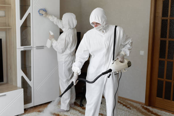 Certified Mold Removal in Blauvelt, NY